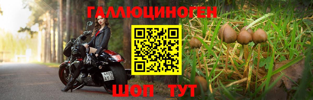Галлюциногенные грибы мухоморы  Вход с VPN  Приморско-Ахтарск 